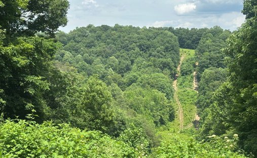 Land in Liberty, Kentucky, Vereinigte Staaten 1