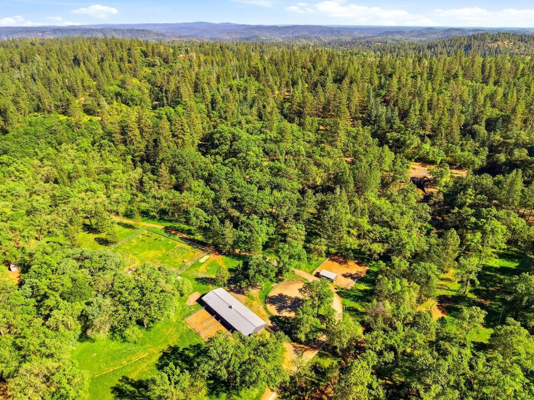 Terrain à Meadow Vista, California, Californie, États-Unis 1 - 18090958