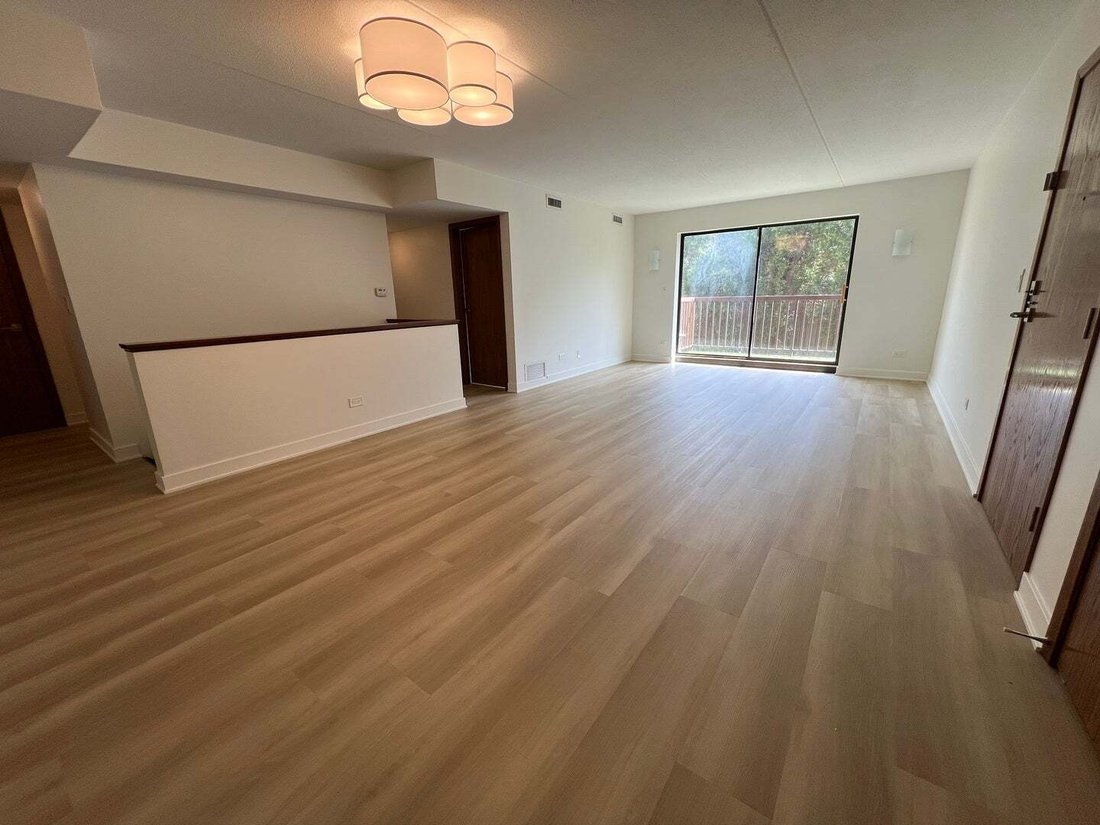 Appartement à Chicago, Illinois, États-Unis 2 - 19125098