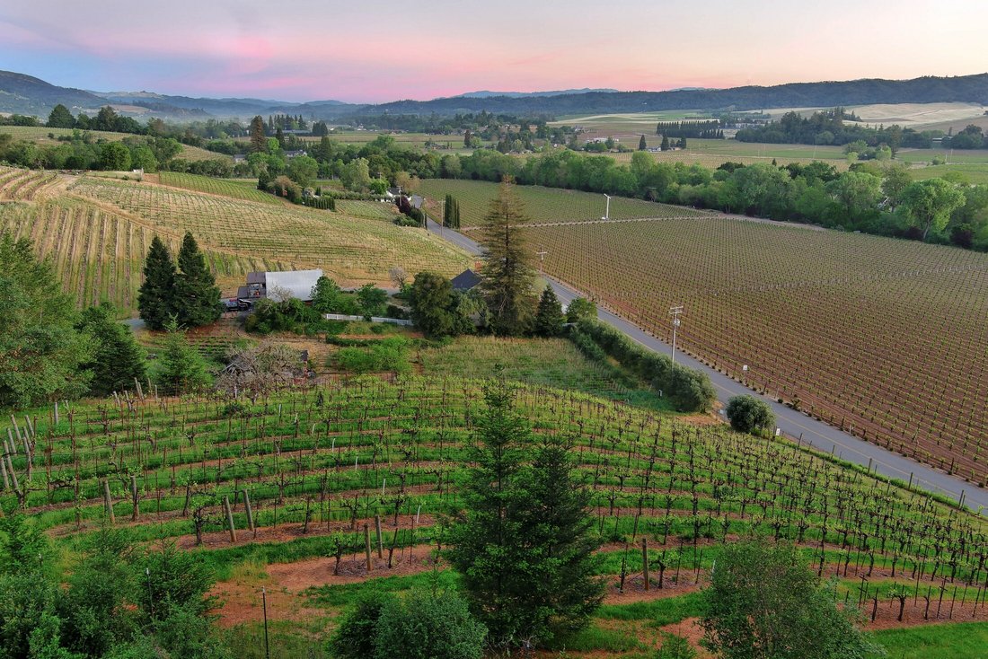 Terrain à Healdsburg, Californie, États-Unis 2 - 17476290
