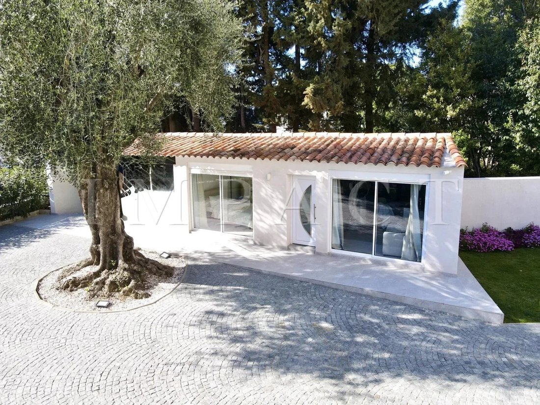 Casa en Cannes, Provenza-Alpes-Costa Azul, Francia 4 - 19122394