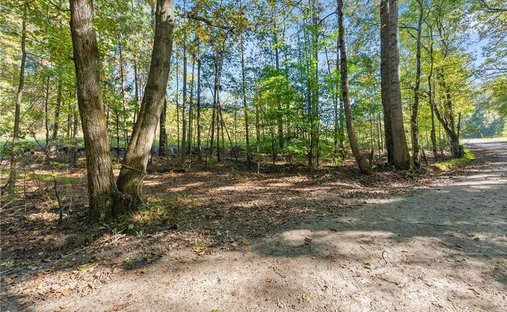 Terreno a Gainesville, Georgia, Stati Uniti 1