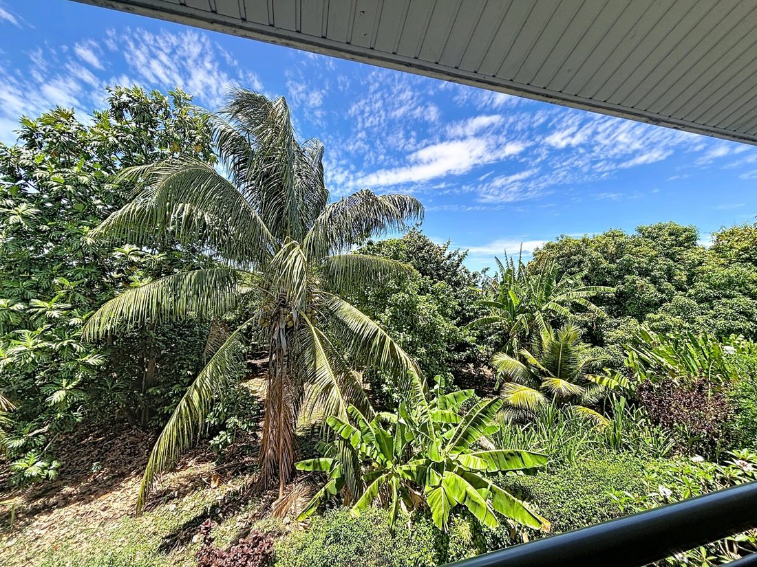 Apartamento en Punaauia, Islas de Barlovento, Polinesia Francesa 4 - 19133434