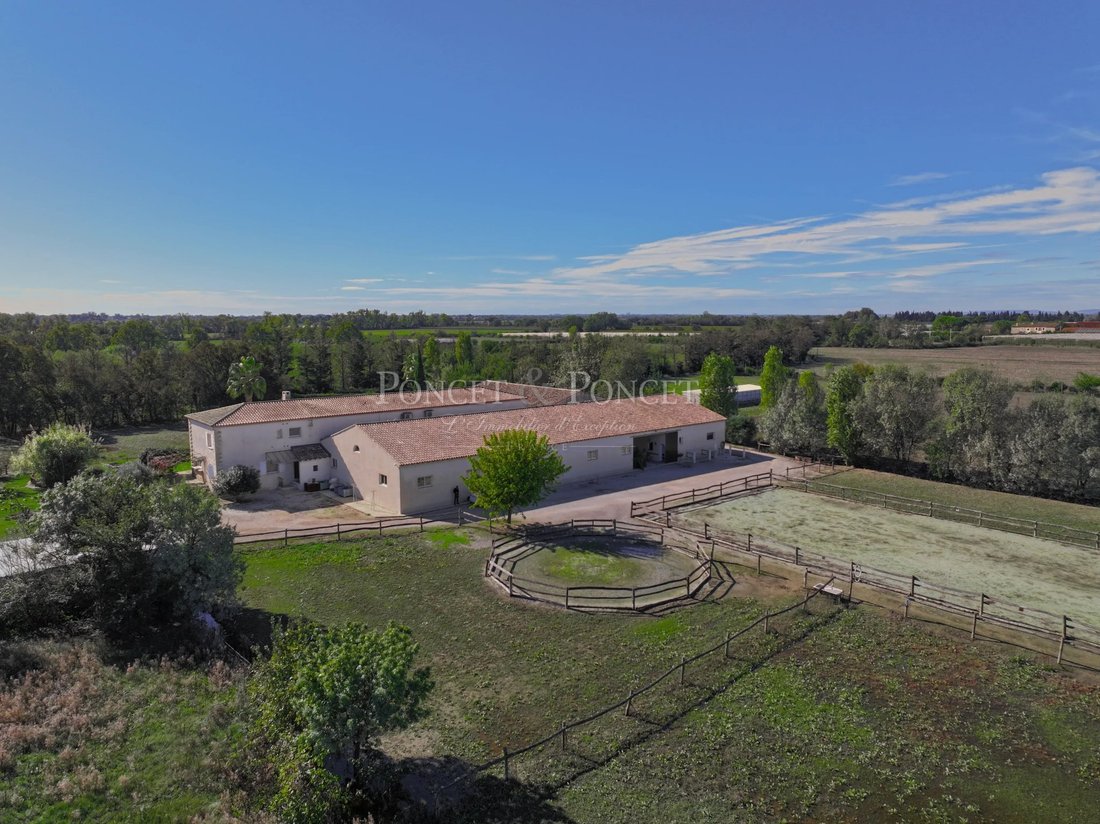 Villa in Centre Ville, Aigues-Mortes, Frankreich 3 - 19134122