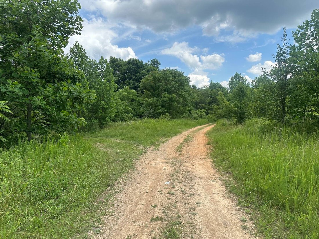 Land in Liberty, Kentucky, United States 3 - 19128313
