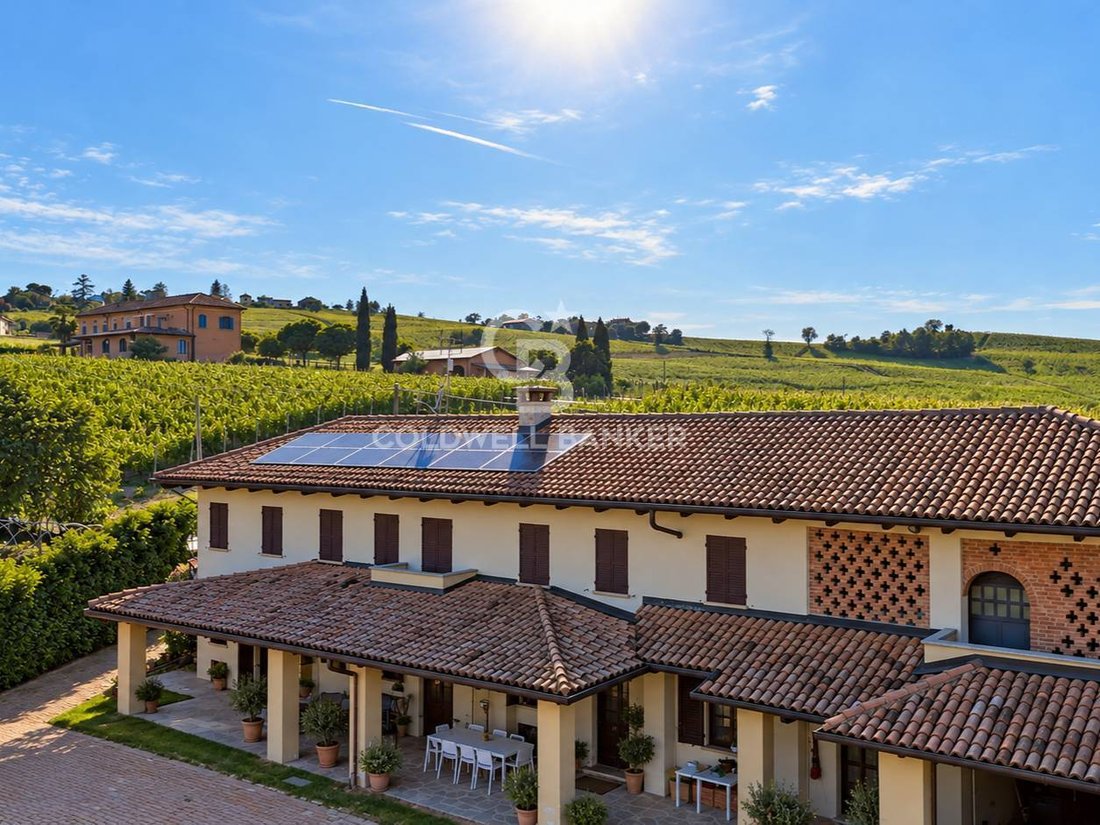 Azienda agricola a Costigliole d'Asti, Piemonte, Italia 1 - 19127741