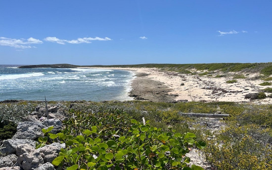 Land in Dunmore Settlement, Long Island, Bahamas 5 - 19124061