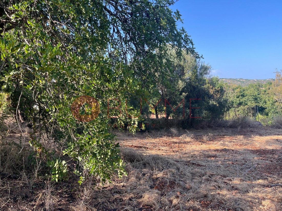 Land in Boliqueime, Algarve, Portugal 2 - 19133984