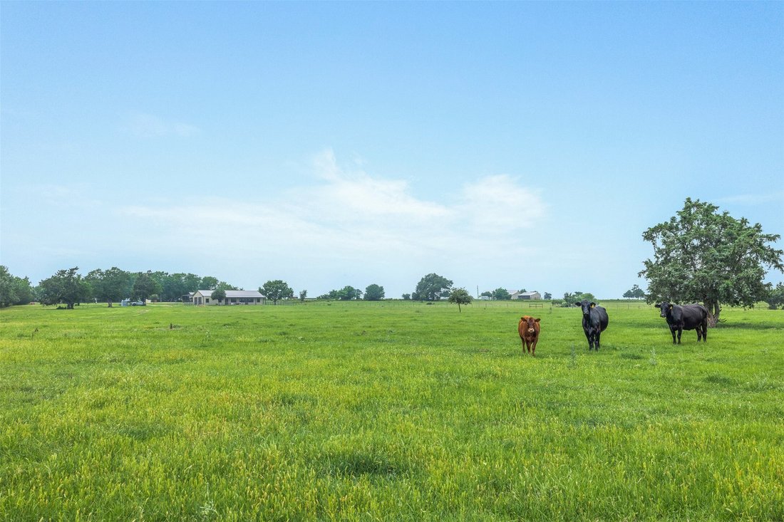 Rancho en Carmine, Texas, Estados Unidos 4 - 19135984
