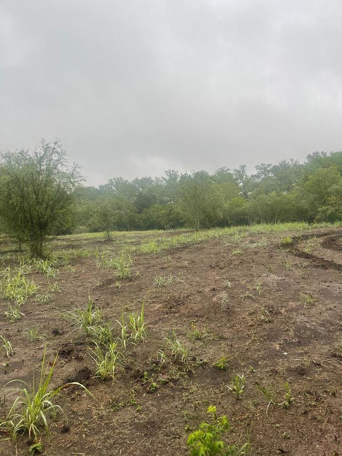 Land in Ciudad de Allende, Nuevo León, Mexiko 4 - 19131333