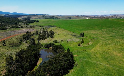 Farm Ranch in Stutterheim, Ostkap, Südafrika 1