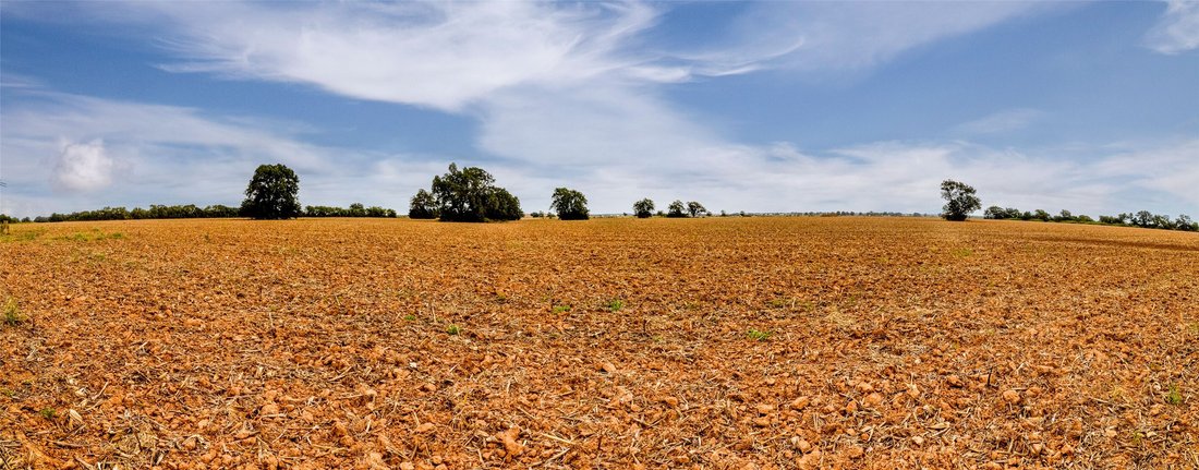 Terrain à Marlin, Texas, États-Unis 4 - 19123422