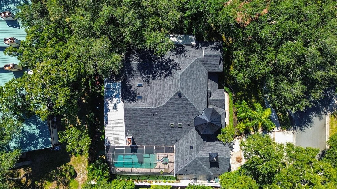 Casa a Palm Harbor, Florida, Stati Uniti 4 - 19125385