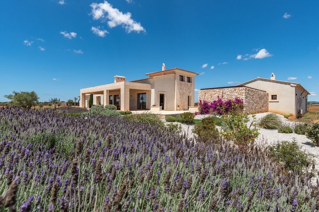 Haus in Ses Salines, Balearische Inseln, Spanien 2 - 19128919