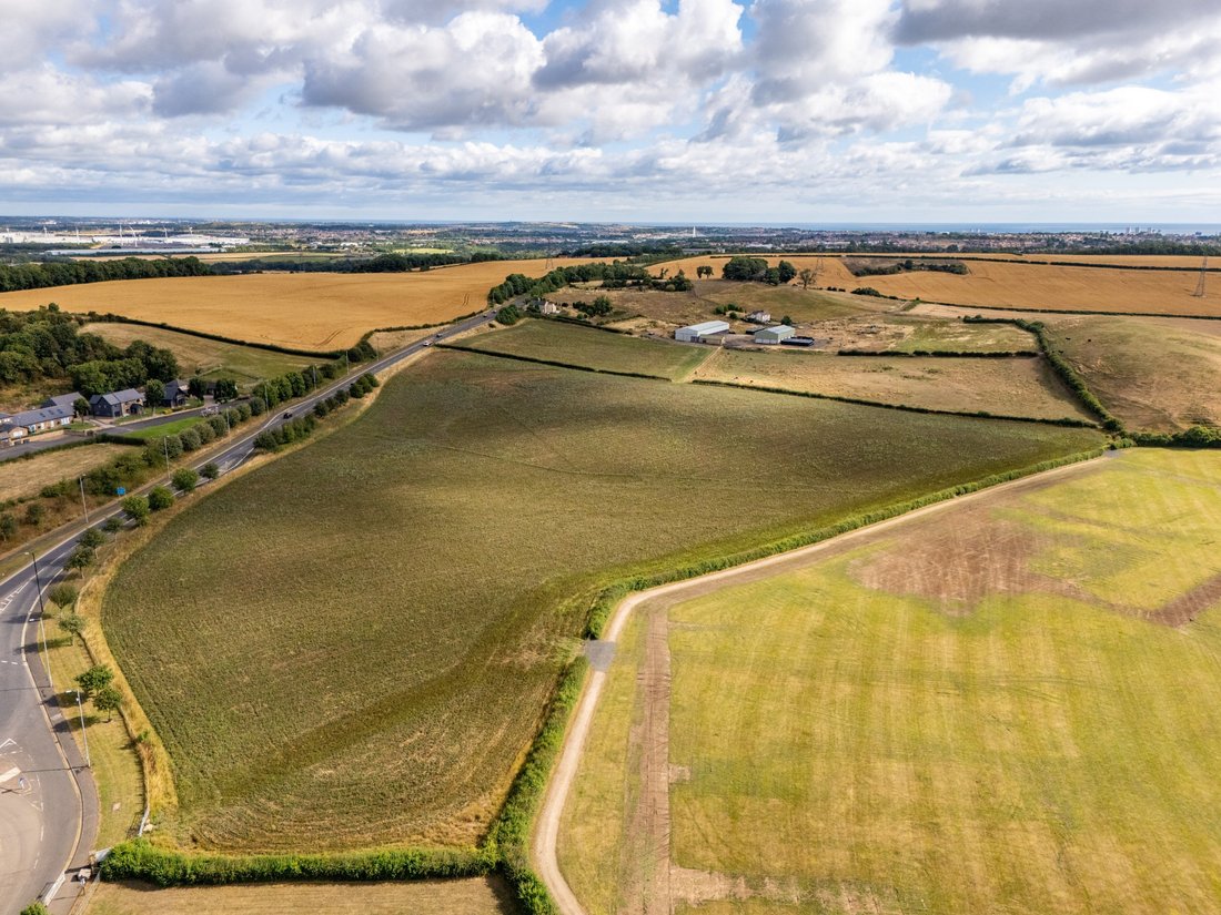 Farm Ranch in Sunderland, England 5 - 19124324