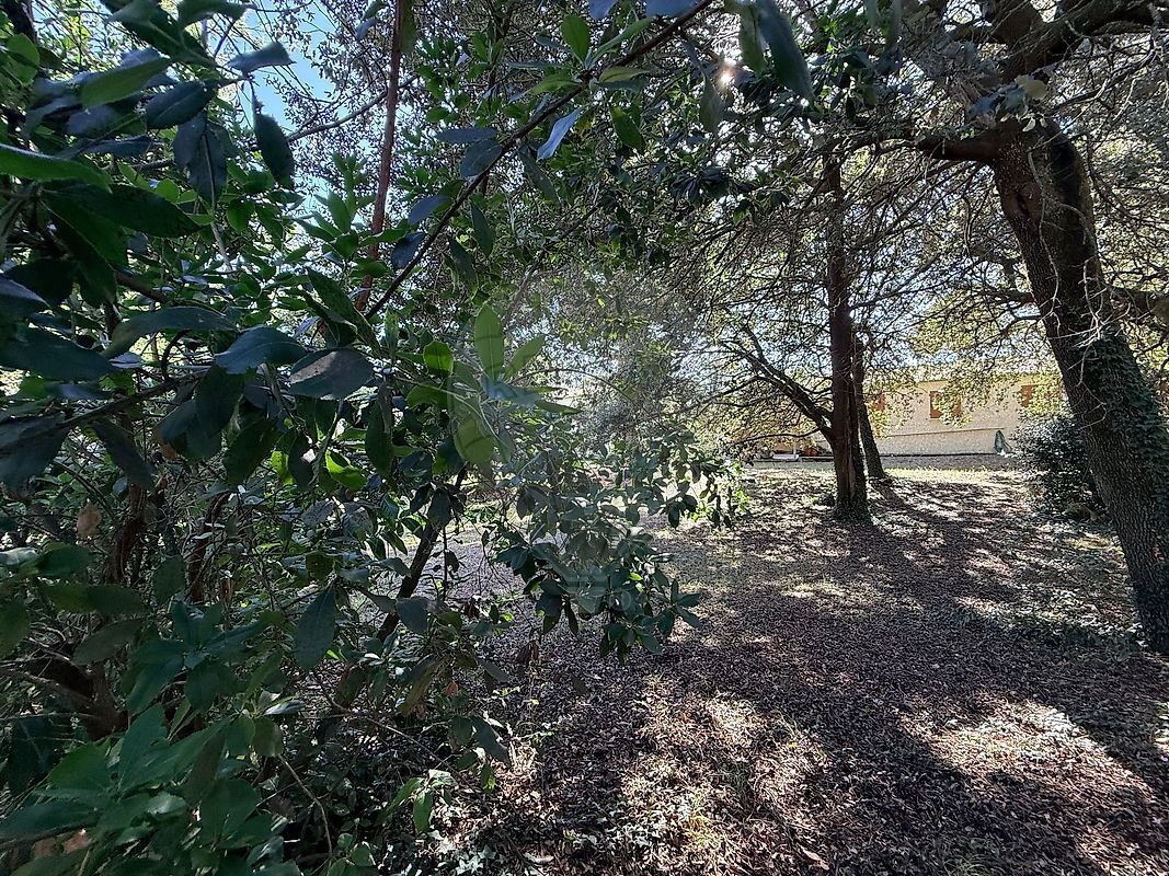 Terreno en Saint-Palais-sur-Mer, Nueva Aquitania, Francia 4 - 19129274