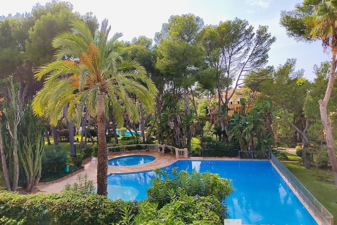 Penthouse in Rotes Velles, Calvia, Balearic Islands 3 - 19123486