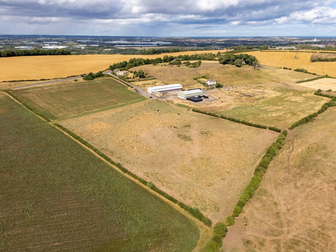 Farm Ranch in Sunderland, England 1 - 19124324