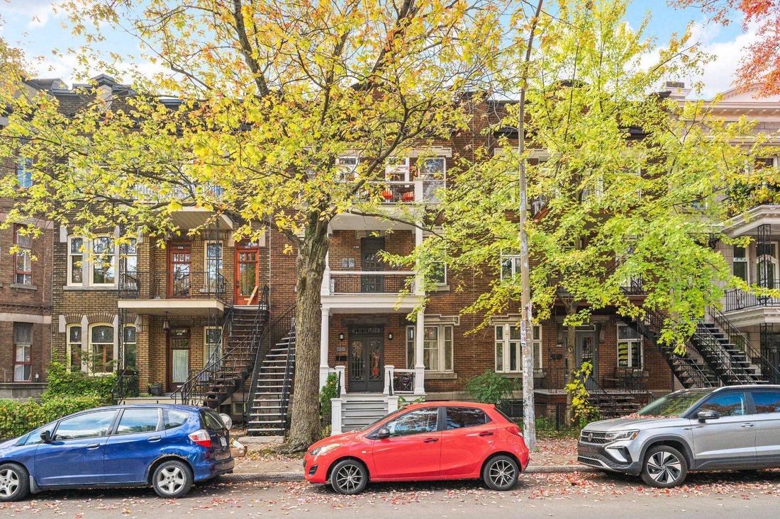 Apartment in Montréal, Quebec, Canada 1 - 19126388