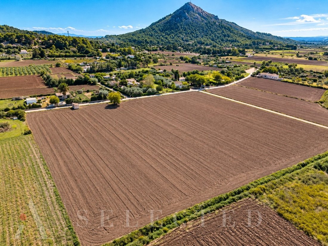 Terreno en Alcudia, Islas Baleares, España 5 - 19133936