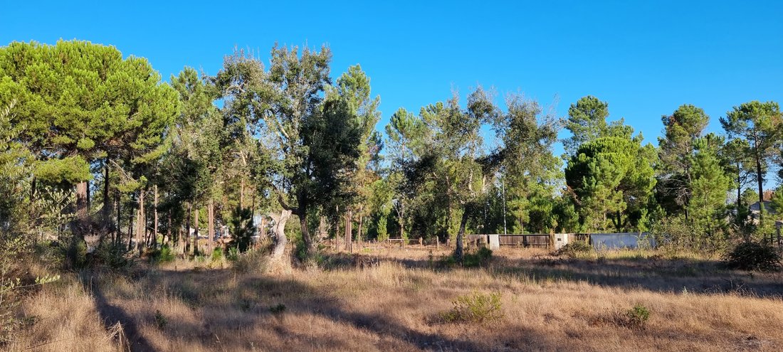 Terrain à Grandola et Santa Margarida da Serra, Setúbal Municipality, Portugal 1 - 19122882