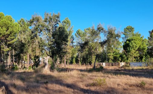Land in Grandola und Santa Margarida da Serra, Setúbal Municipality, Portugal 1