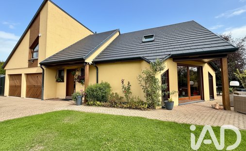Haus in Sud Est, Schlettstadt, Frankreich 1