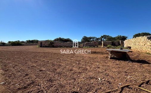Land in Żurrieq, Malta 1