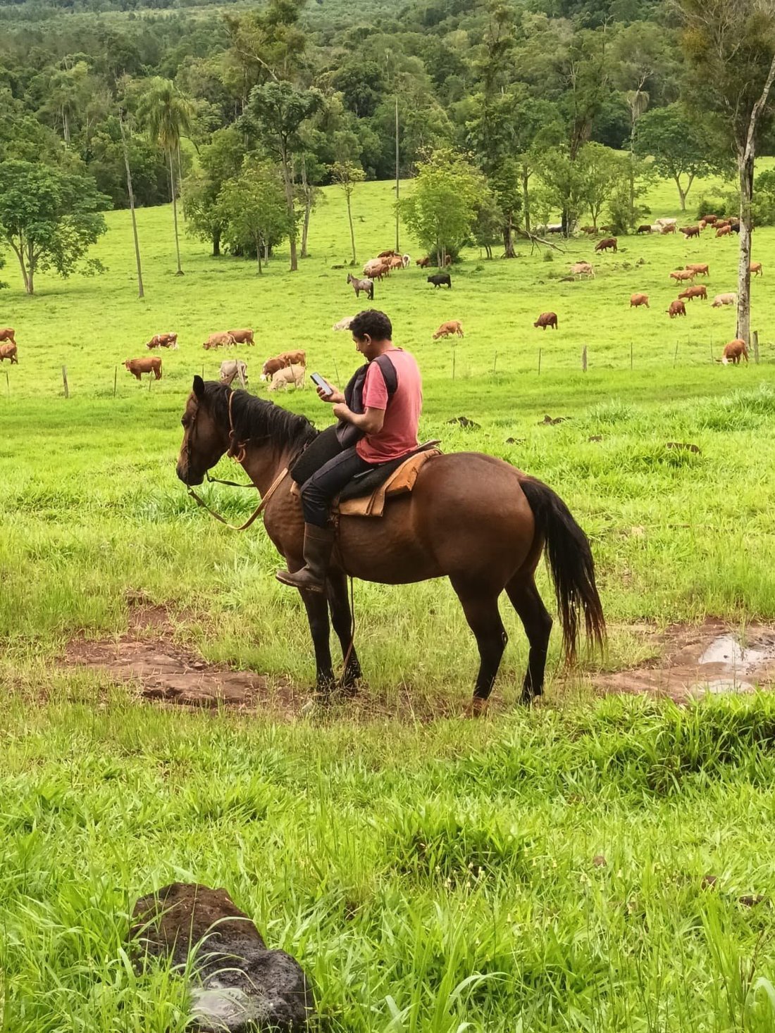 Land in Eldorado, Provinz Misiones, Argentinien 2 - 19122490