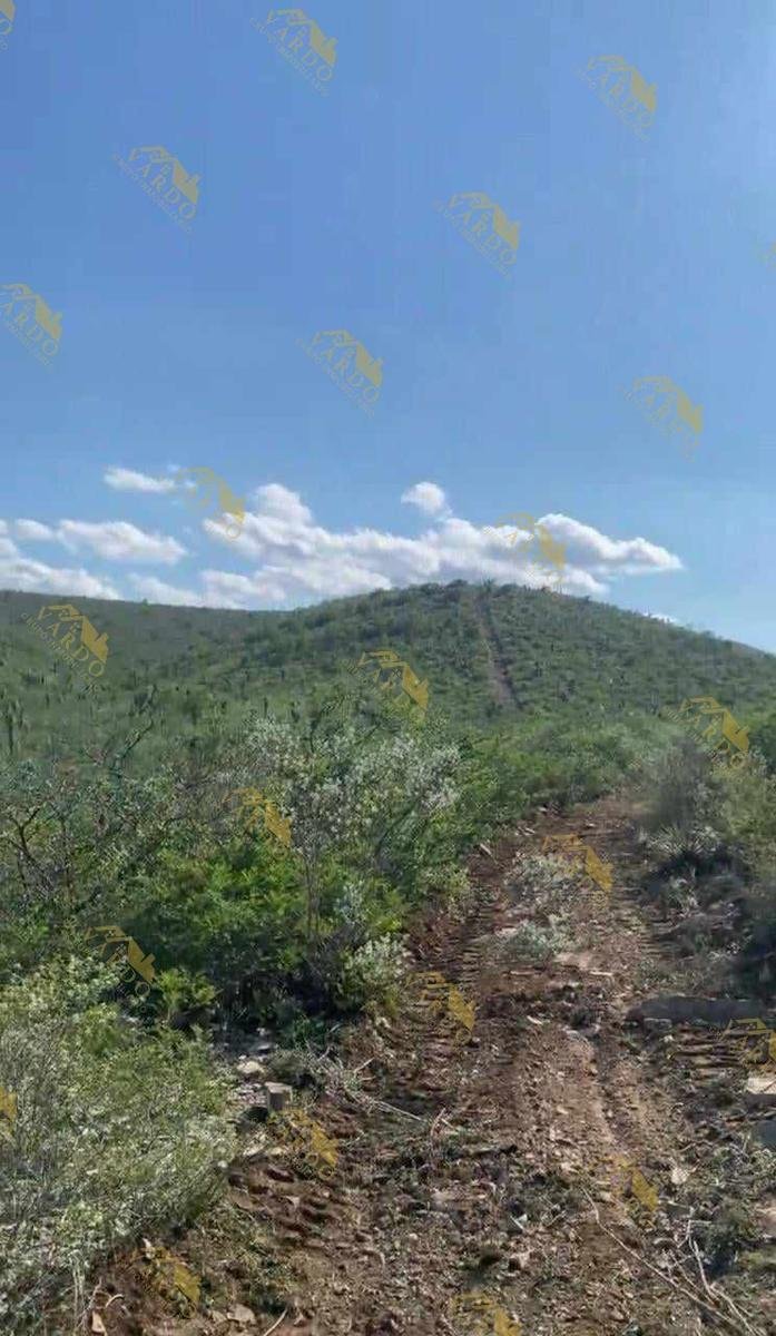Terreno en Vallecillo, Nuevo León, México 5 - 19098773