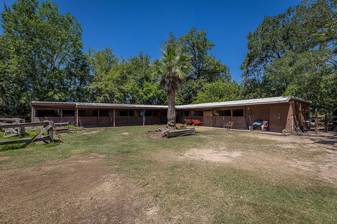 Farm Ranch in Montgomery, Texas, Vereinigte Staaten 3 - 19123355