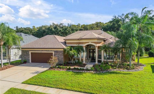 Casa en Port Orange, Florida, Estados Unidos 1