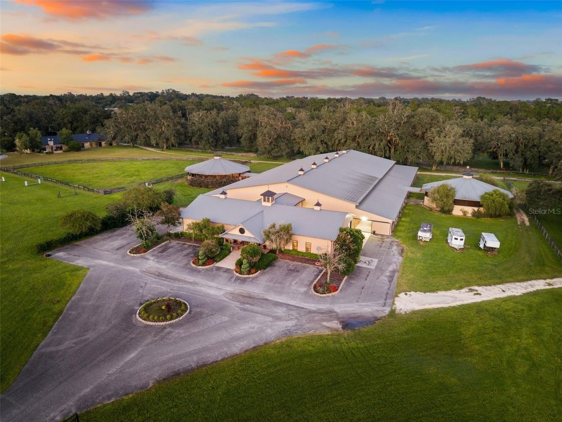 Azienda agricola a Ocala, Florida, Stati Uniti 1 - 19129072