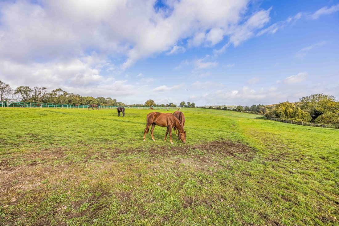 Rancho en South Downs, Chichester, Inglaterra 5 - 19133758