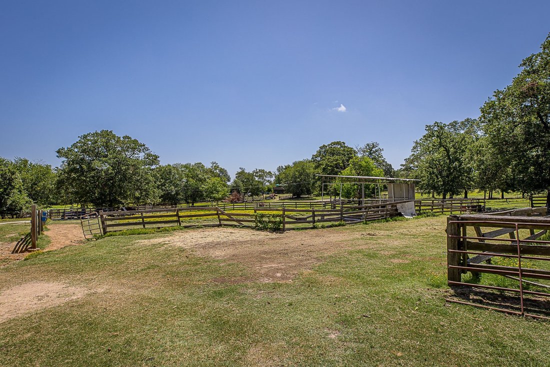 Farm Ranch in Montgomery, Texas, Vereinigte Staaten 4 - 19123355