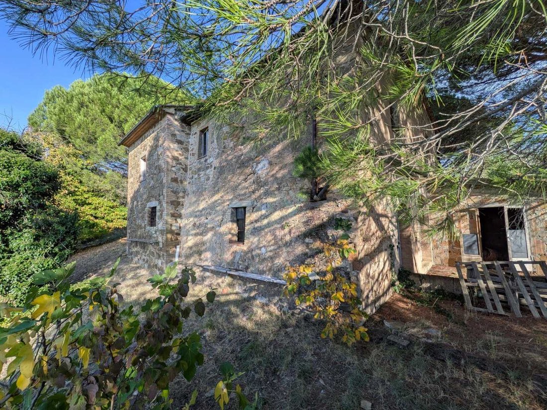 Villa in Montalcino, Toskana, Italien 5 - 19128670