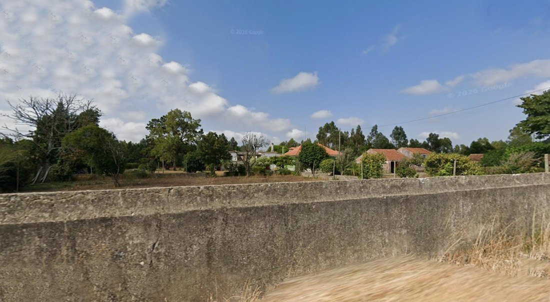 Mira, Coimbra District, Portugal 5 - 19128334