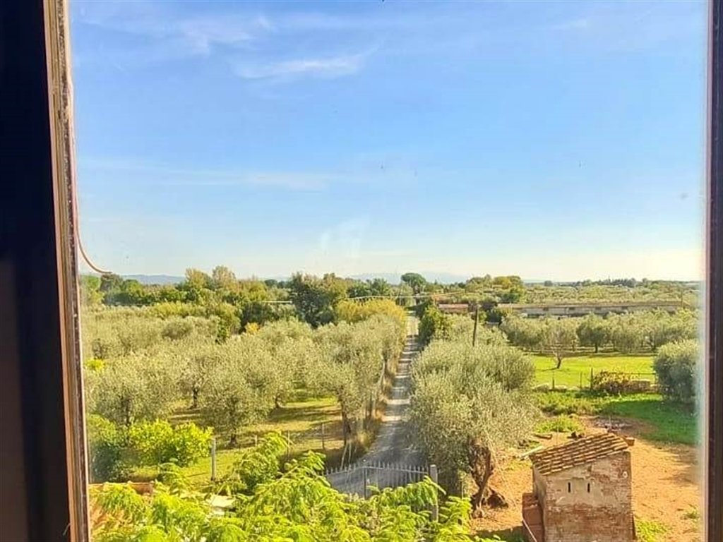 Casa di campagna a Vada, Rosignano Marittimo, Toscana 2 - 19130976