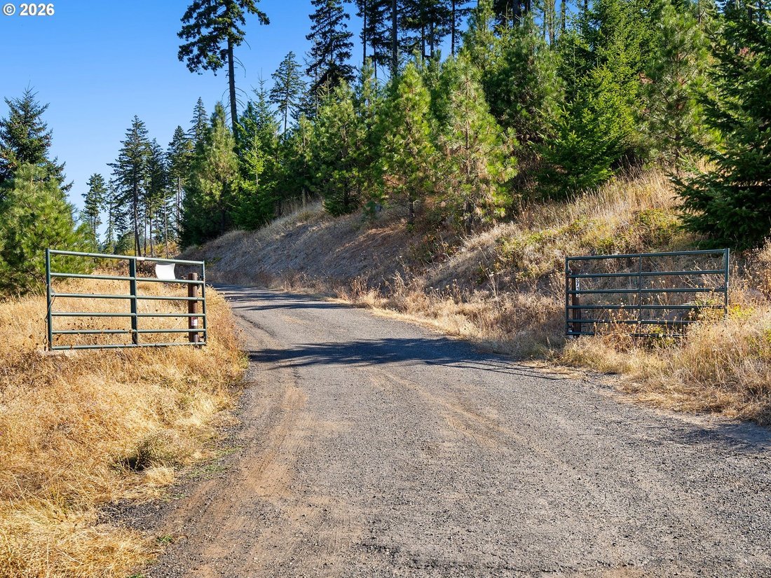 Terrain à Hood River, Oregon, États-Unis 2 - 19133474