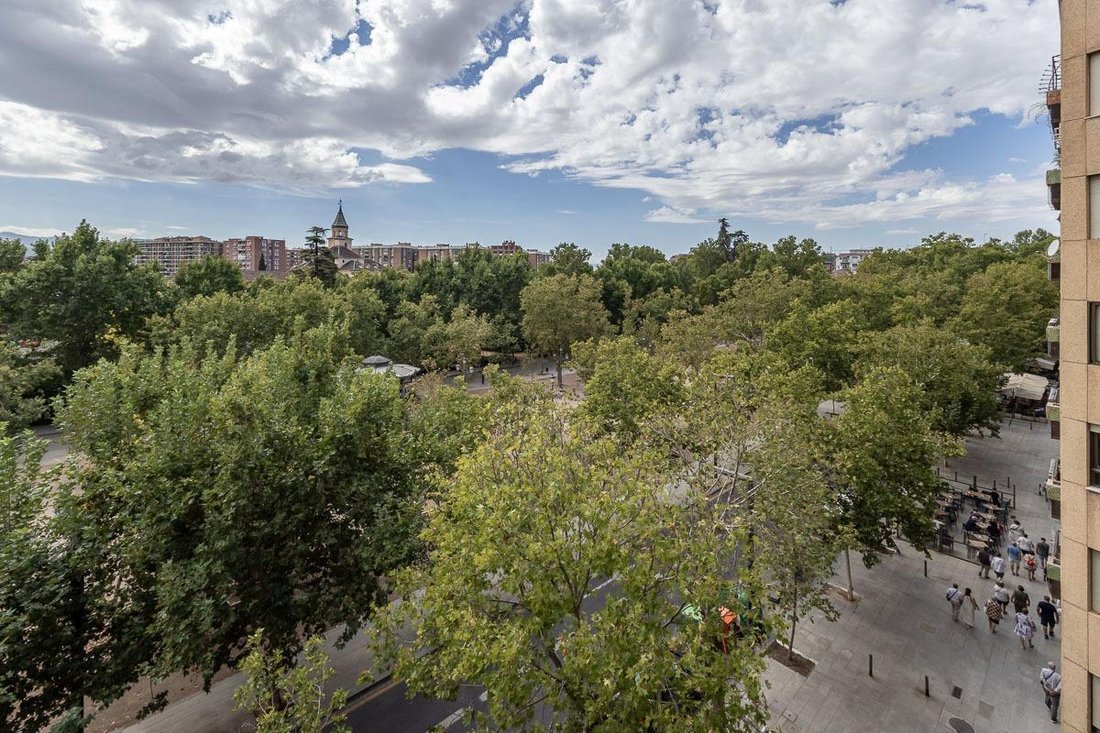 Appartamento a Centro, Granada, Spagna 4 - 19126124