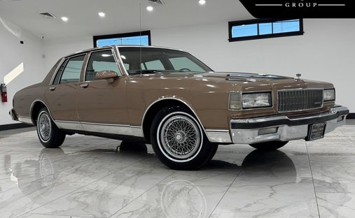 1989 Chevrolet Caprice Classic in Crestwood, IL, United States 1