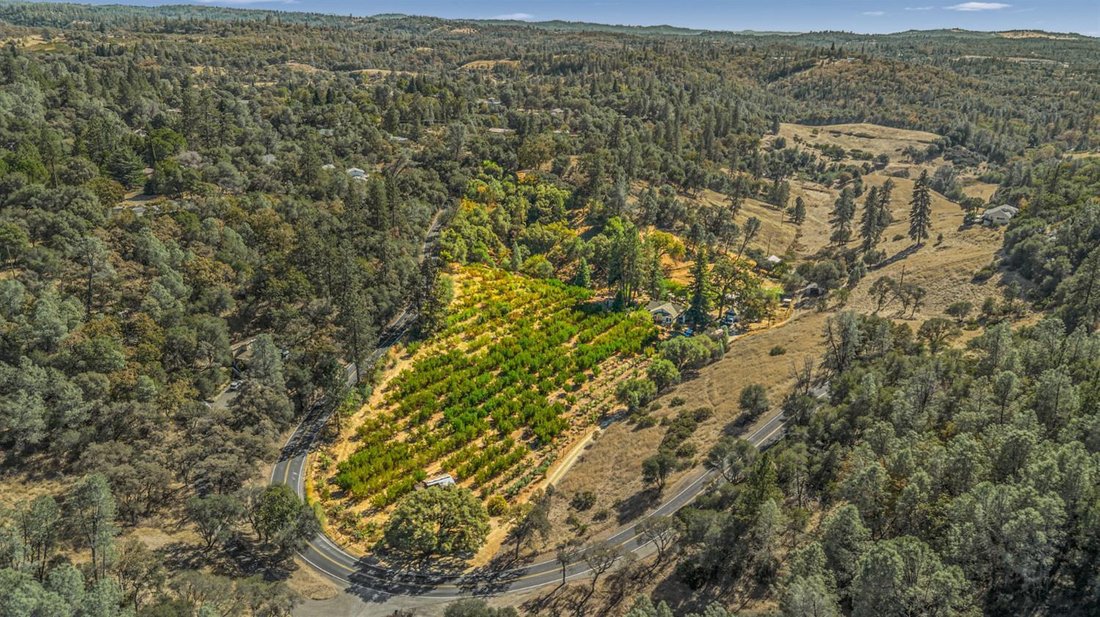 House in Placerville, California, United States 4 - 19130559