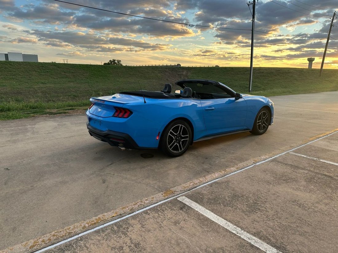 Cabriolet in Farmers Branch, TX, United States 5 - 19132750