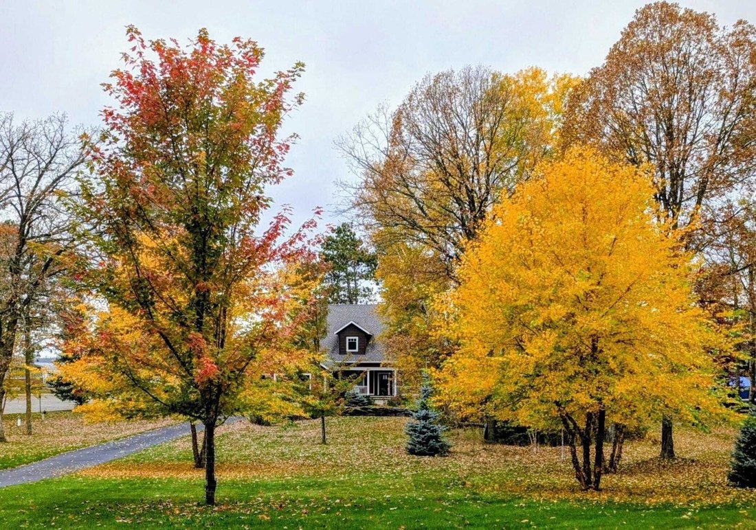 Casa en Municipio de Turtle River, Minnesota, Estados Unidos 2 - 18564224