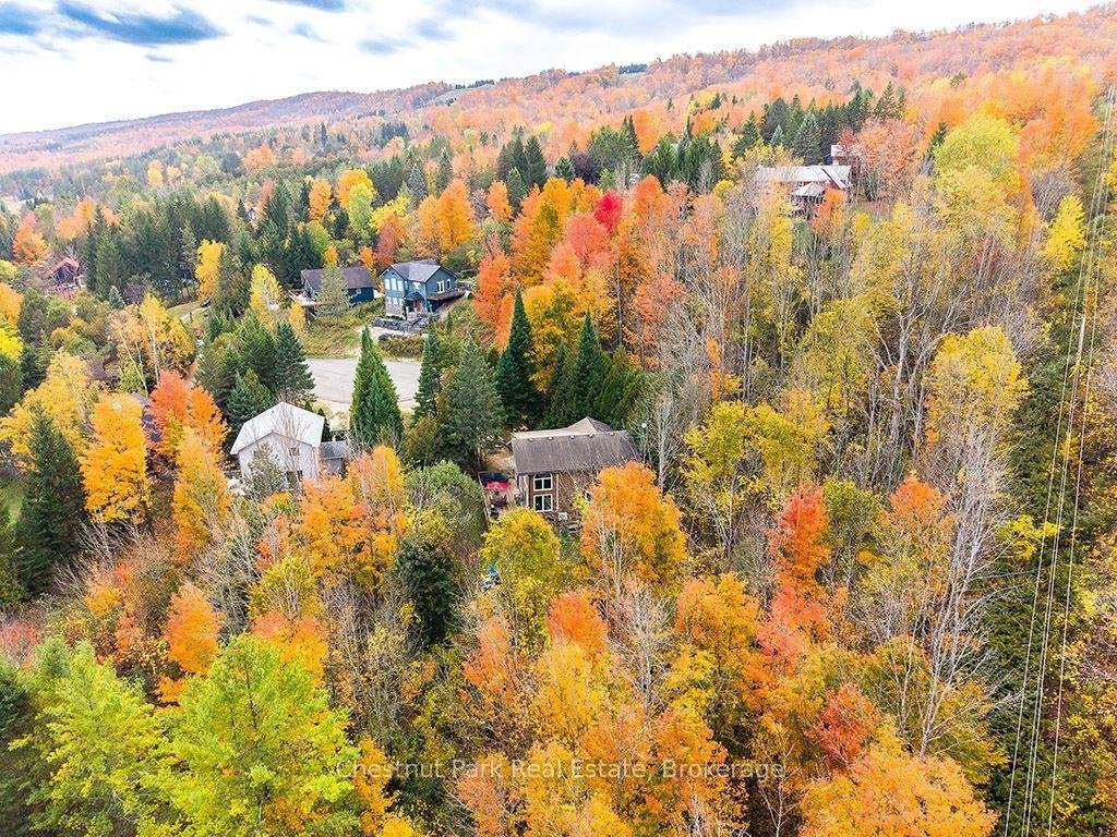 Maison à Grey Highlands, Ontario, Canada 4 - 19129612