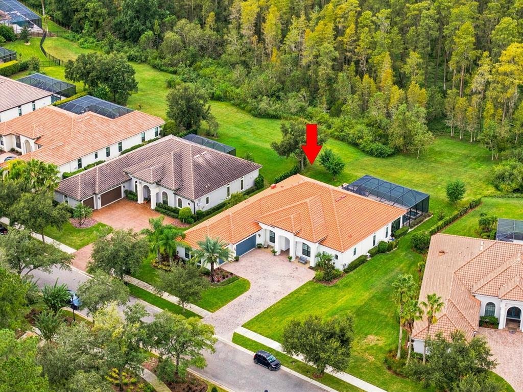 Maison à Lutz, Floride, États-Unis 5 - 19123825