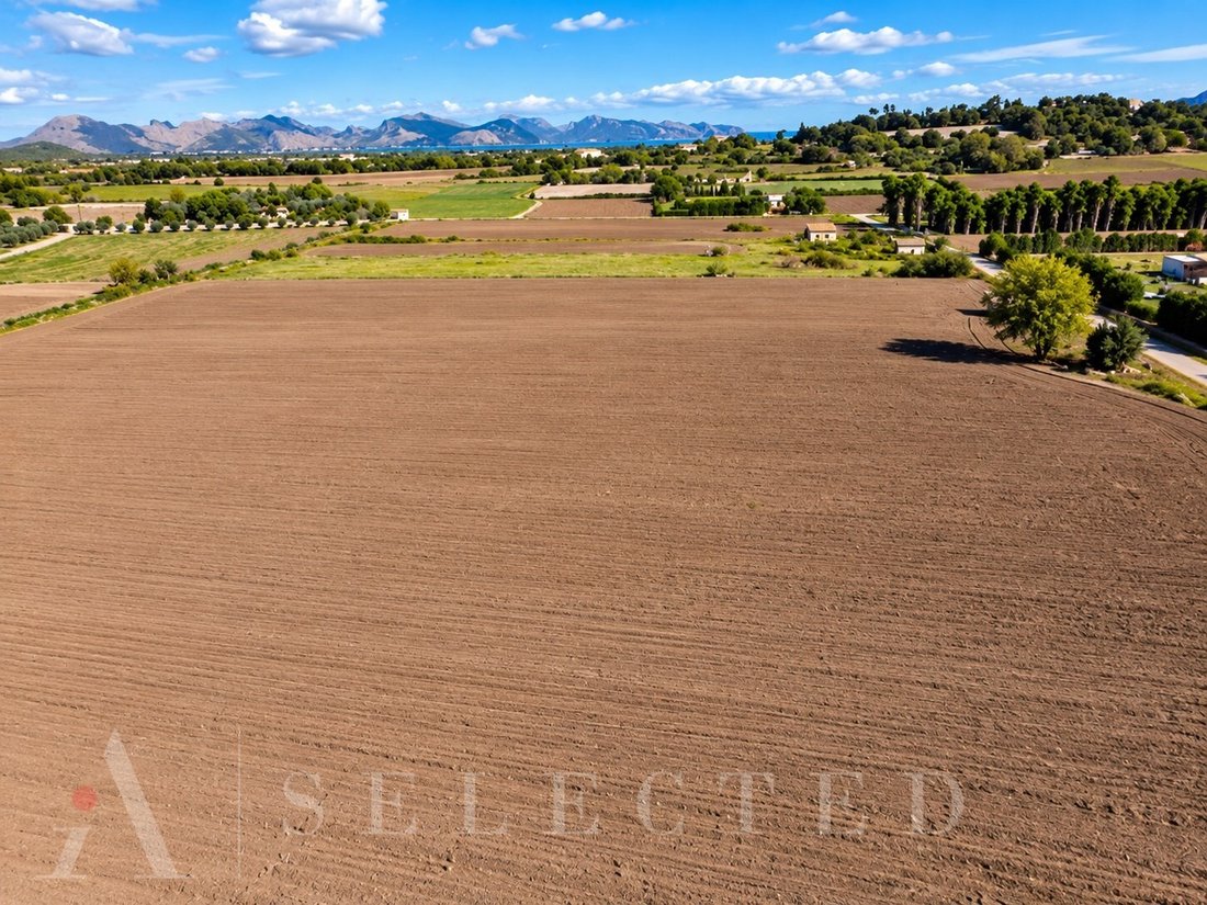 Terreno en Alcudia, Islas Baleares, España 3 - 19133936