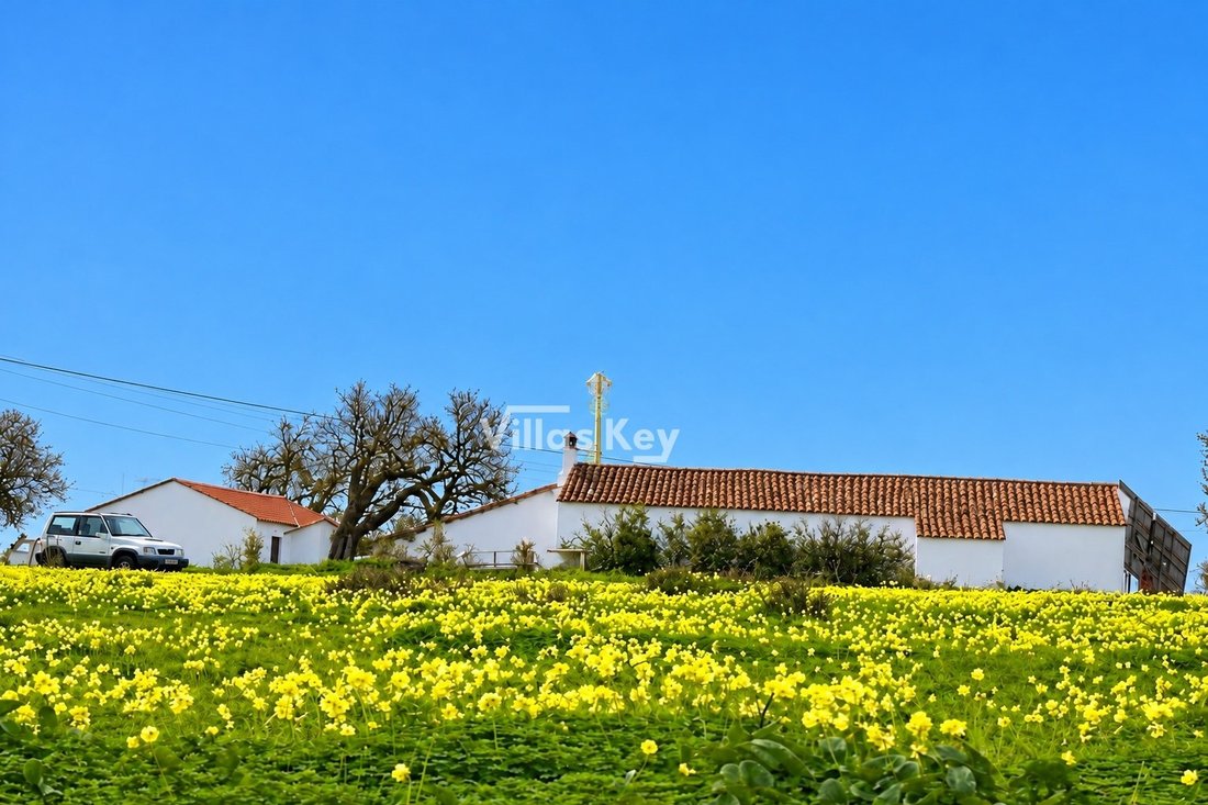 Haus in São Sebastião, Lagos, Sao Goncalo de Lagos, Portugal 3 - 19129700