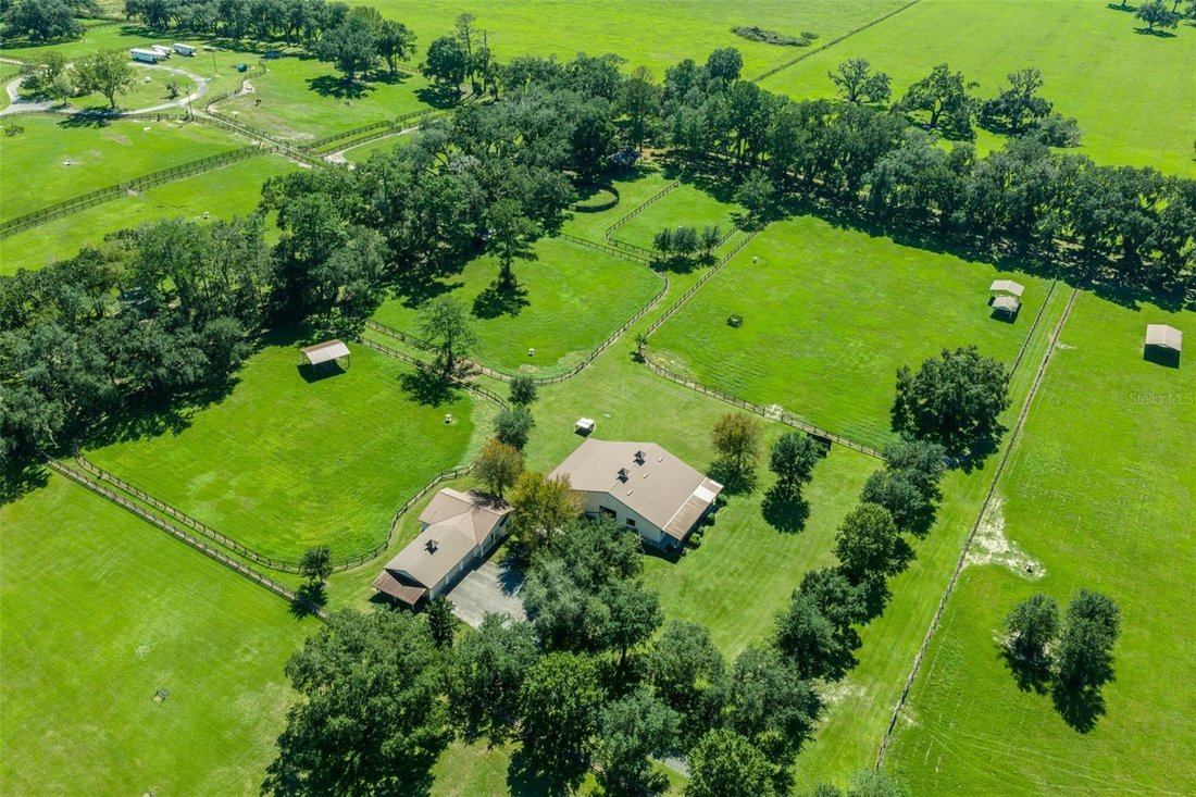 Farm Ranch in Ocala, Florida, Vereinigte Staaten 1 - 17178378