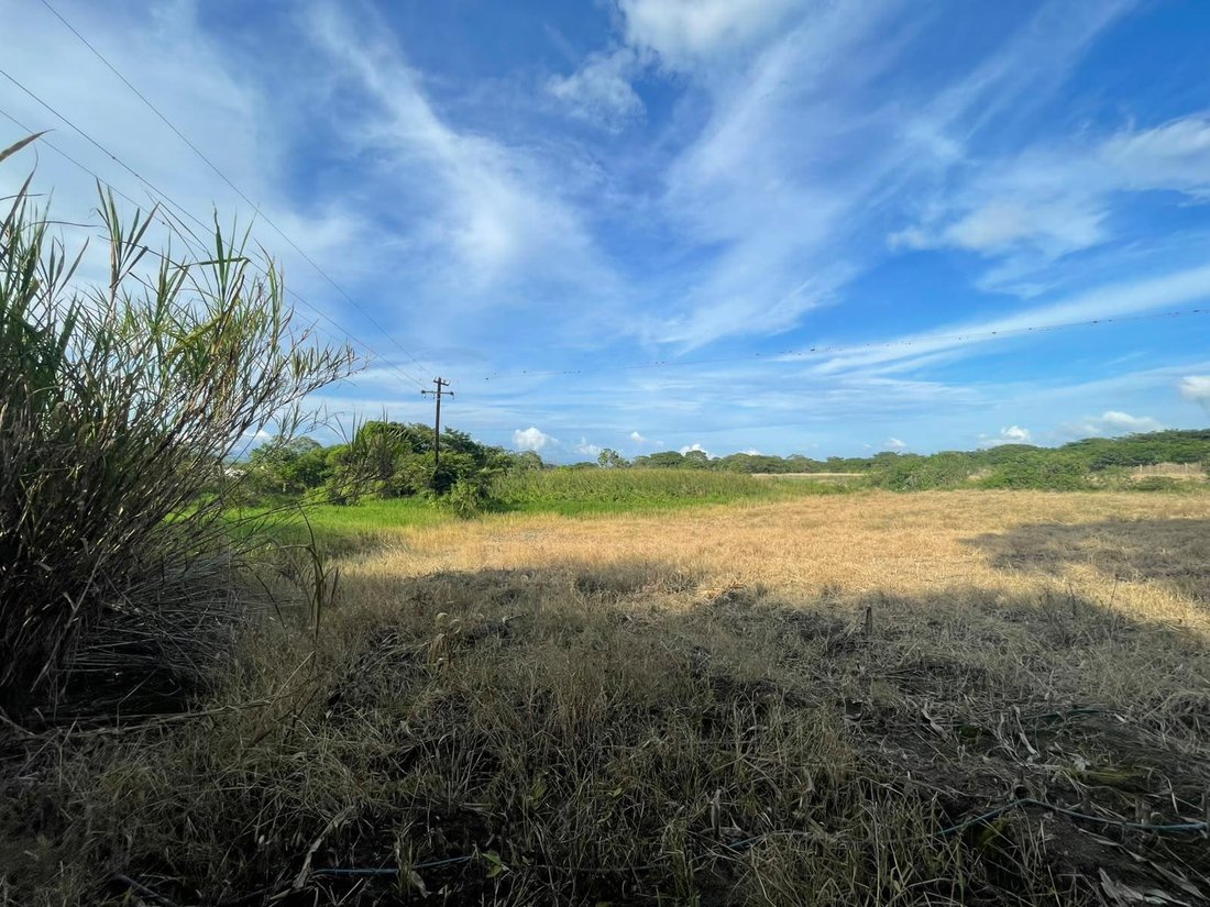 Land in El Lencero, Veracruz, Mexiko 5 - 19126620